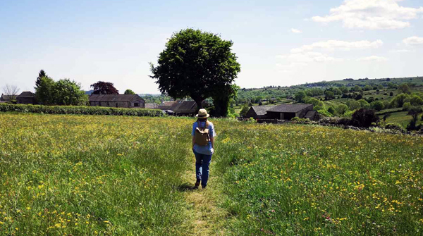 DipSlides tweet media