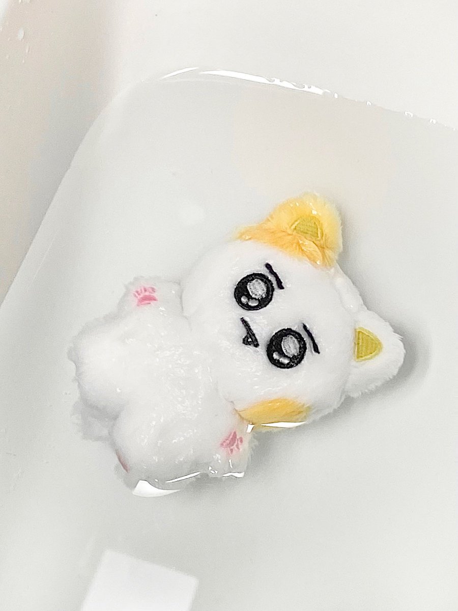 깡냥이 2차 샘플 도착!! 💭💫