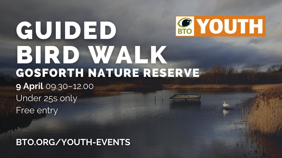 📢 We've got brilliant #BTOYouth guided bird walk for aged 16–24 coming up at Gosforth Nature Reserve on 9 April. The reserve is easily accessible by public transport from Newcastle city centre. More info 👉 bto.org/youth-events