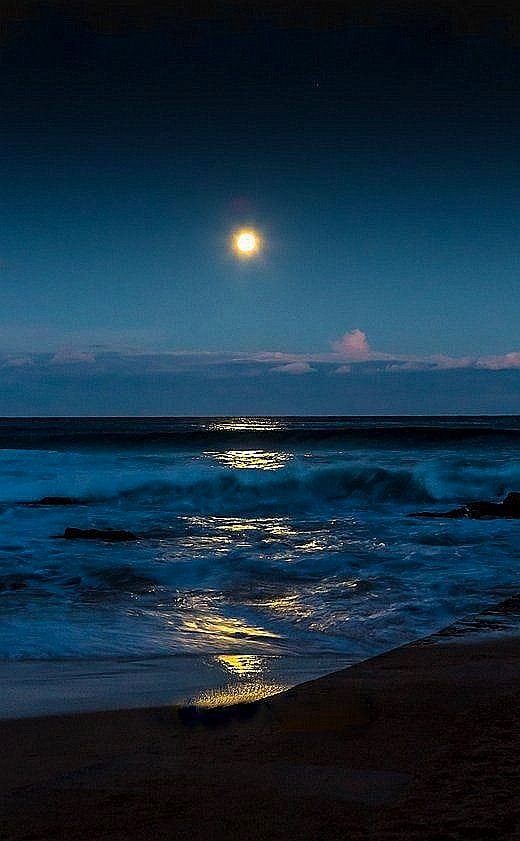 PORT8ART's tweet image. Don’t run from the #storm, embrace it and become a child of #chaos

#quote #ocean