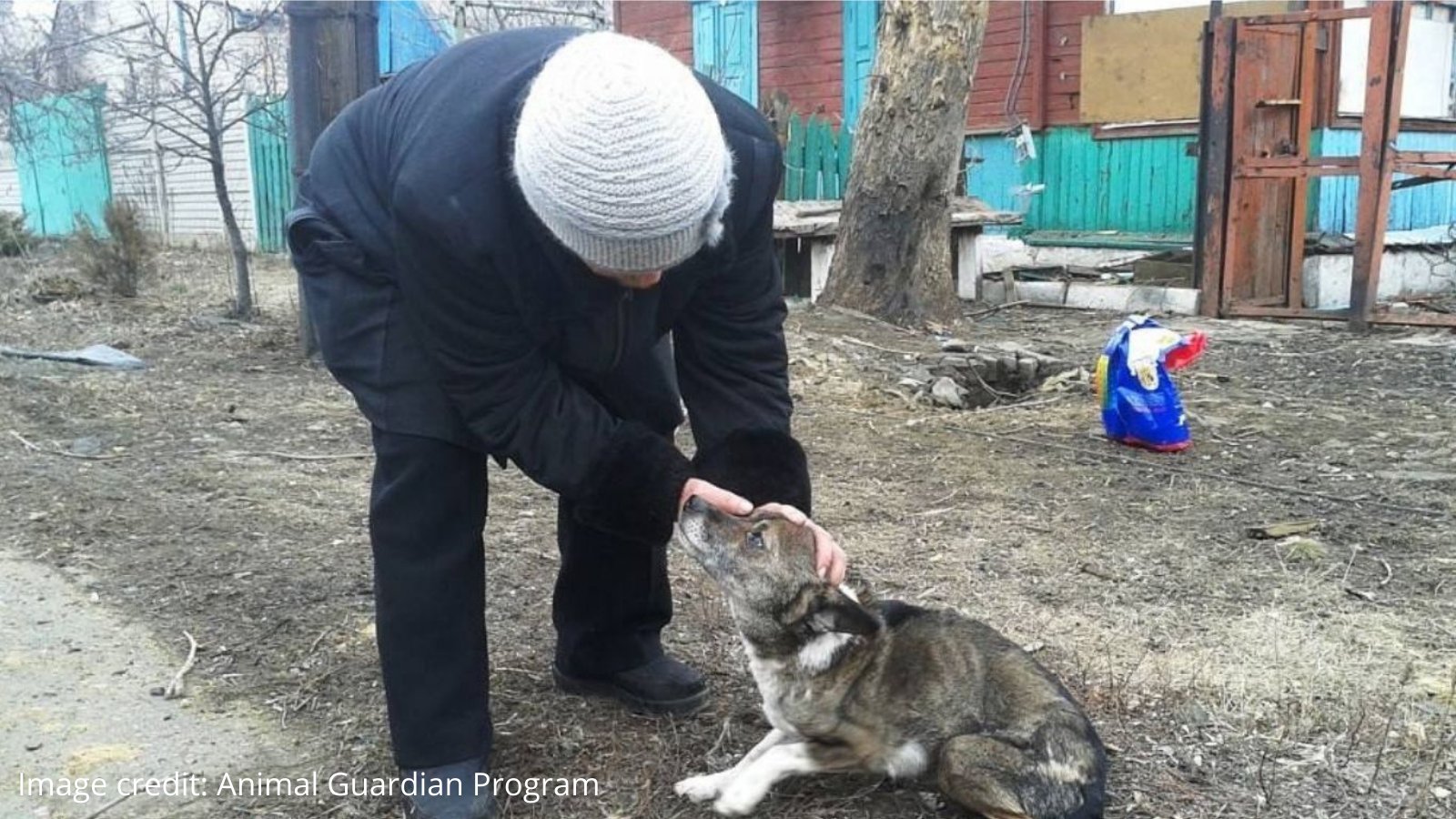 Network For Animals 🐾 on Twitter: Network For Animals 🐾 on Twitter: