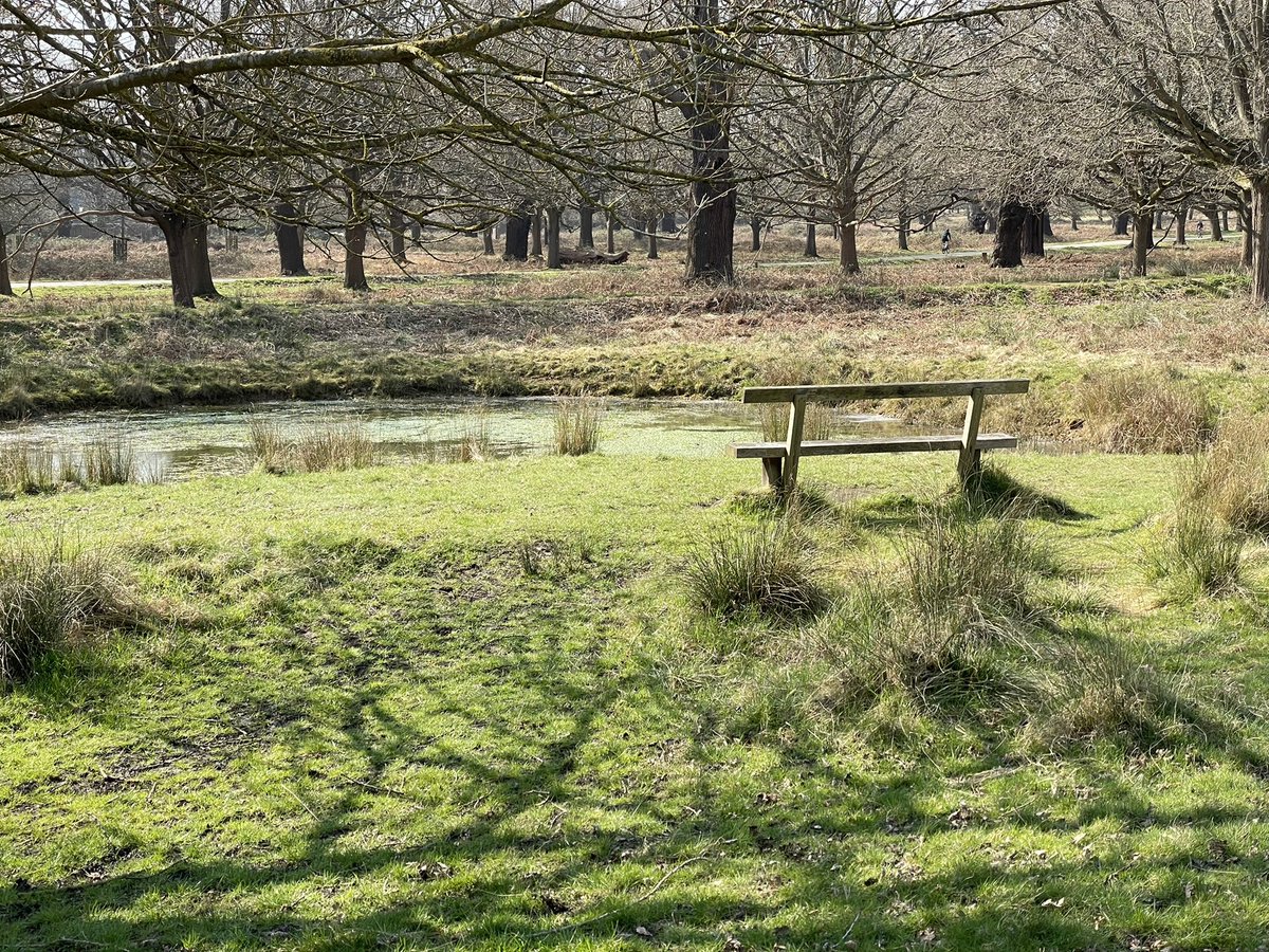 Gisli Jenkins tweet media