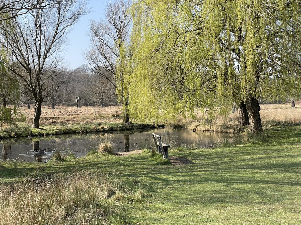 Gisli Jenkins tweet media