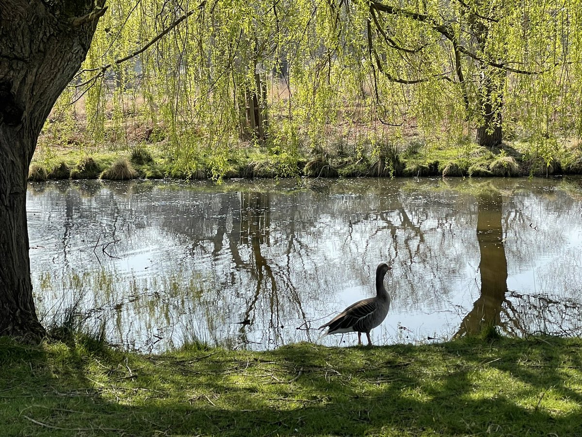 Gisli Jenkins tweet media