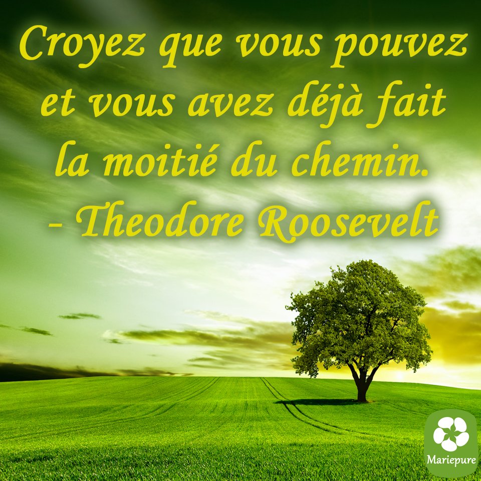 Mariepure Croyez Que Vous Pouvez Et Vous Avez Deja Fait La Moitie Du Chemin Theodore Roosevelt Citation T Co 1610vwtuu2 Twitter