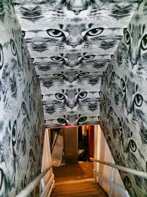 Strange Staircases tweet media