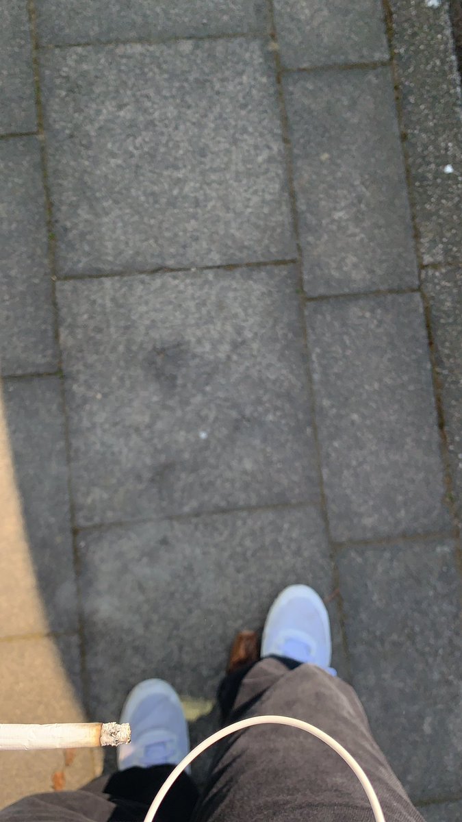 7nvco's tweet image. #entfall