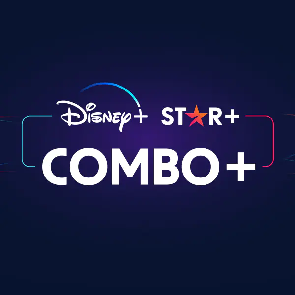 Info Disney Hulu tweet media