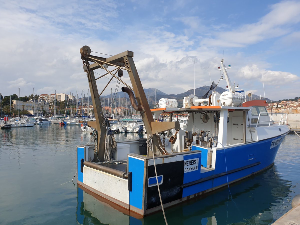 Shipwormhistory's tweet photo. In Banyuls-sur-Mer, where the mighty Pyrenees meet the blue Mediterranean. Always good to back and chat with the marine biologists and crew. Starting round 4 and last #envhistory #coastalhistory tests on #shipworm boxes. https://t.co/VK4MjSQUBd