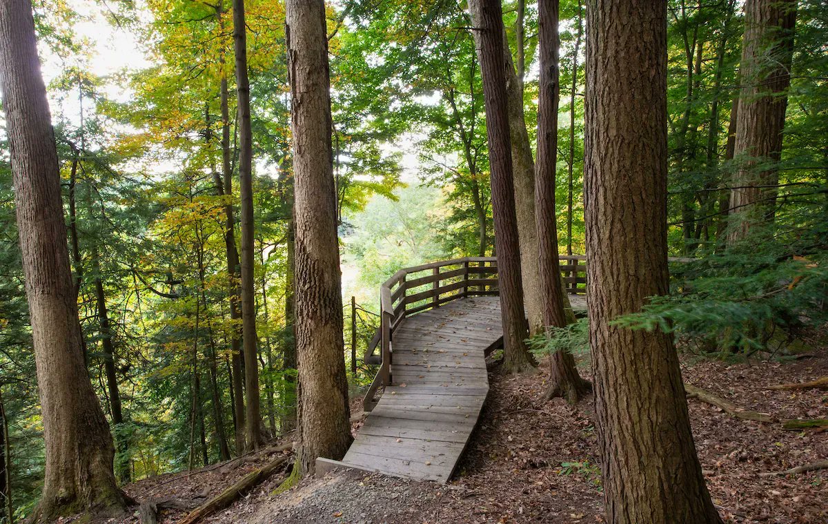 clevemetroparks's tweet photo. Unplug in Cleveland Metroparks with March’s Ten to Explore presented by @Wayside_Akron. View the March list at https://t.co/RL5wkmMrvu. 🌳 #FindYourPath https://t.co/xz0PEg0NPx