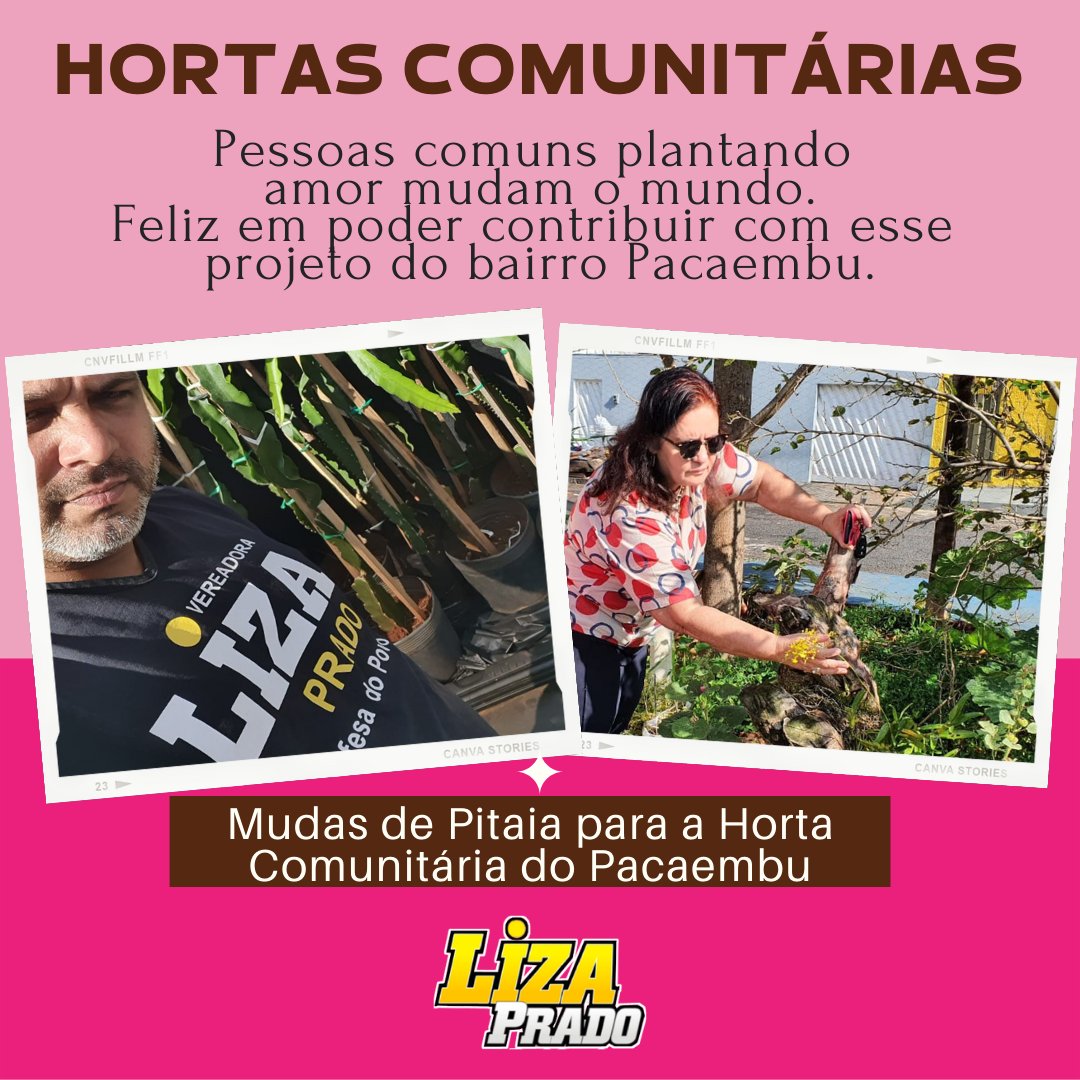 pradoliza's tweet photo. Mudas de Pitai para a Horta Comunitária do Pacaembu https://t.co/qinunRCde4
