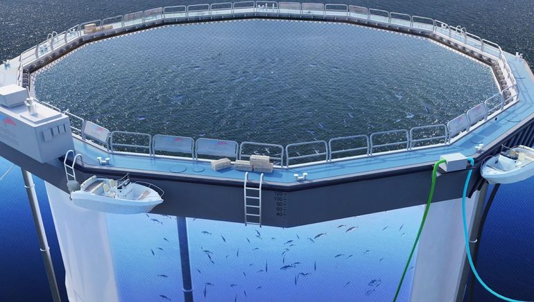 BayFrenchman's tweet photo. Why stop an industrial fish farm from coming to #FrenchmanBay? Because American Aquafarm's home country, Norway, would never allow a development like this; strict regulations limit adverse impacts to water quality and protect #workingwaterfronts. https://t.co/g3DRGYTwmR https://t.co/ERJ7sxL58y