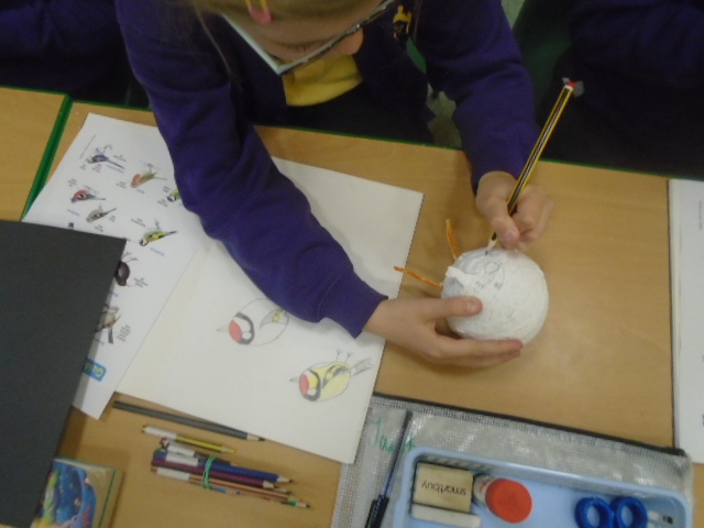 Lantern Primary tweet media