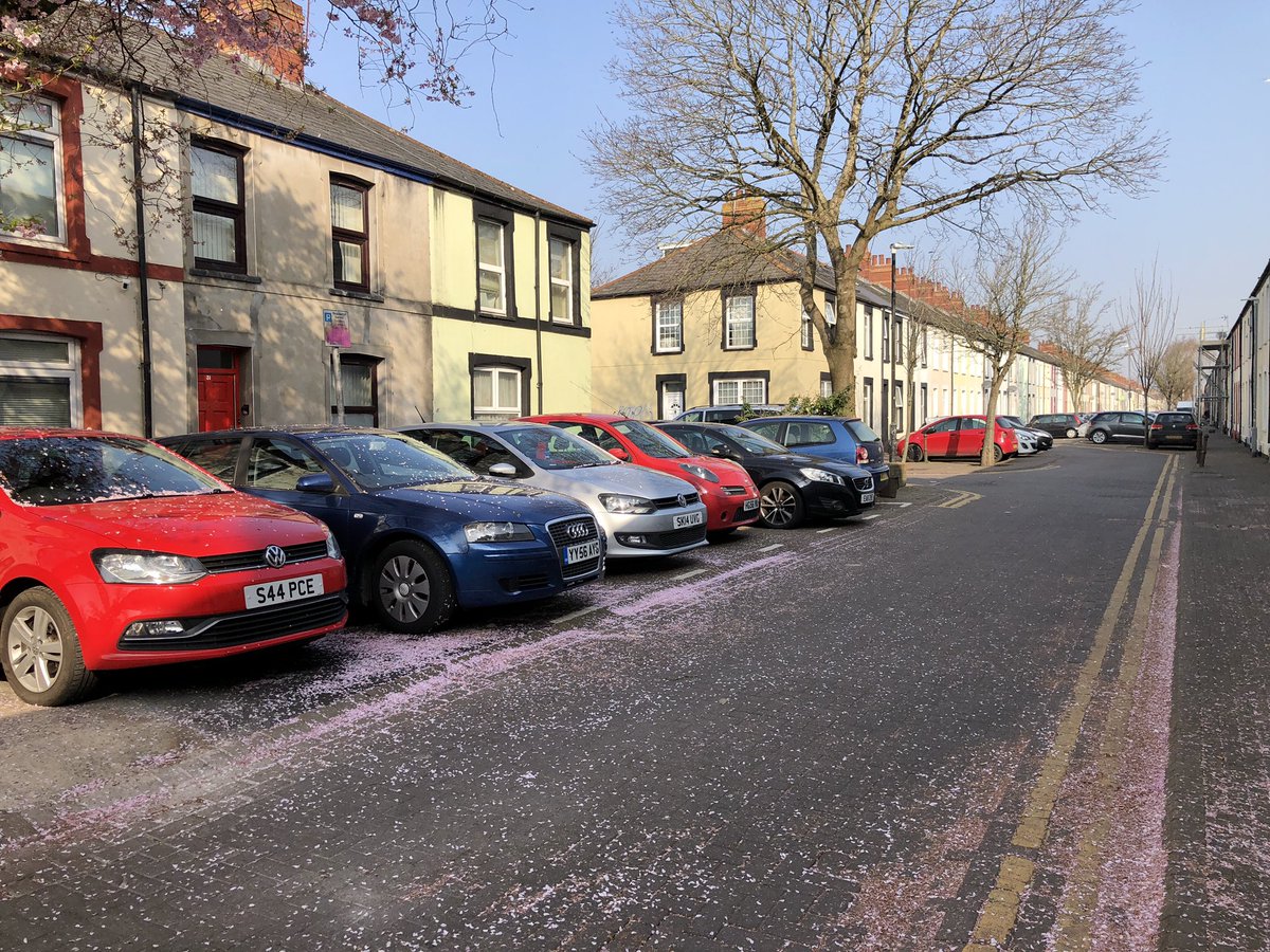 Wiktoria_Media's tweet photo. Rhymney Street in Cathays made the highest revenue for Cardiff Council from car parking fines in 2021. The main reasons for the fines are: not displaying the permit and parking on double yellow lines. But locals say there aren’t enough parking bays. @CardiffNewsPlus #MAIJCYMRU https://t.co/cJgCOBKmGG