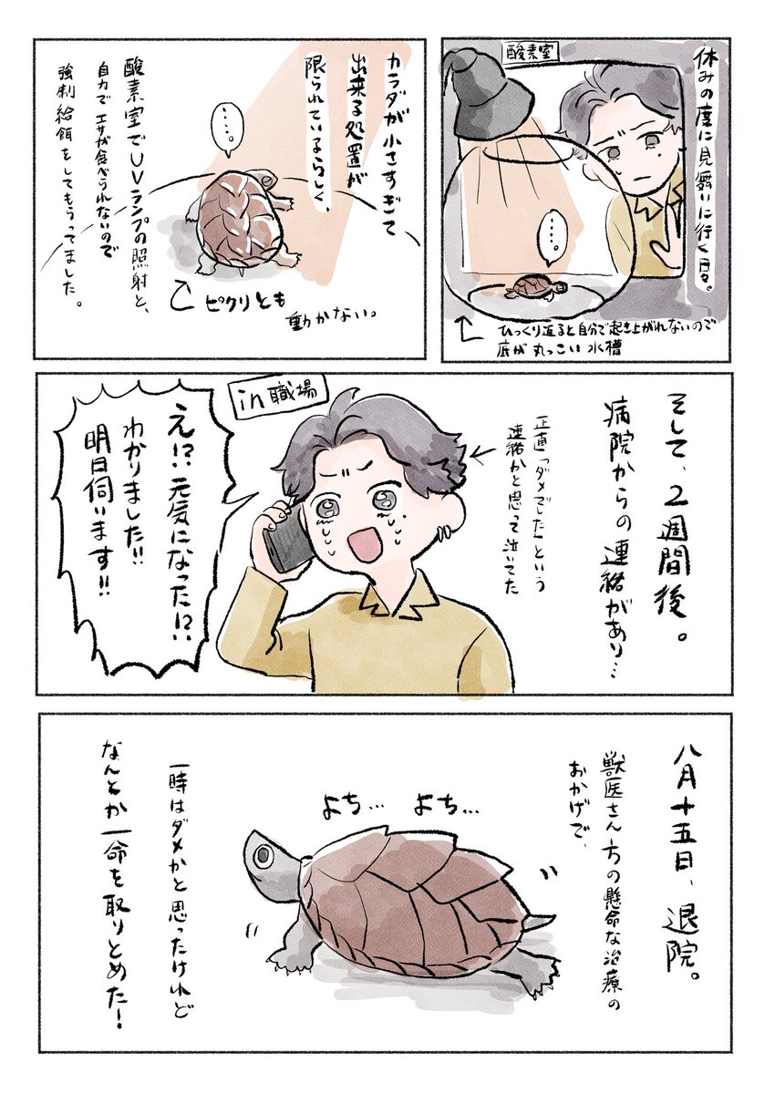 おブンとさちの飼い主 tweet media