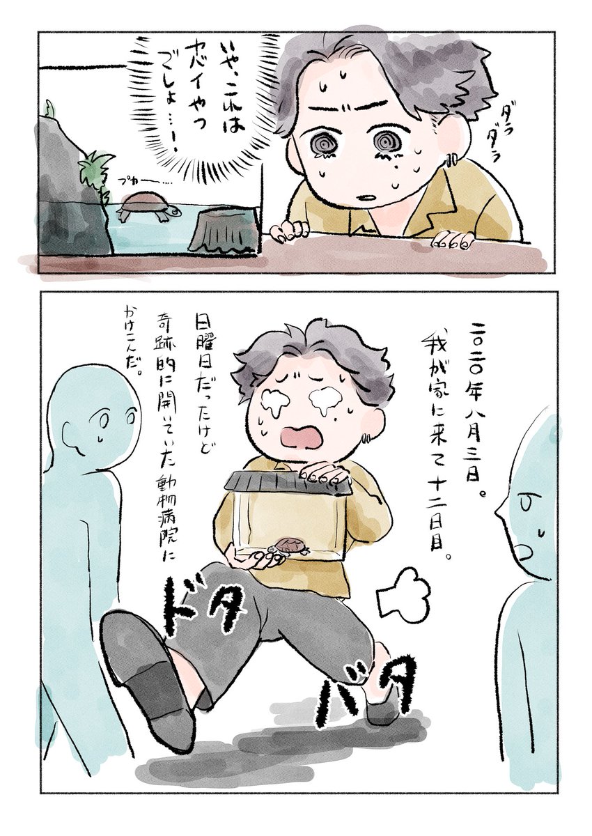 おブンとさちの飼い主 tweet media