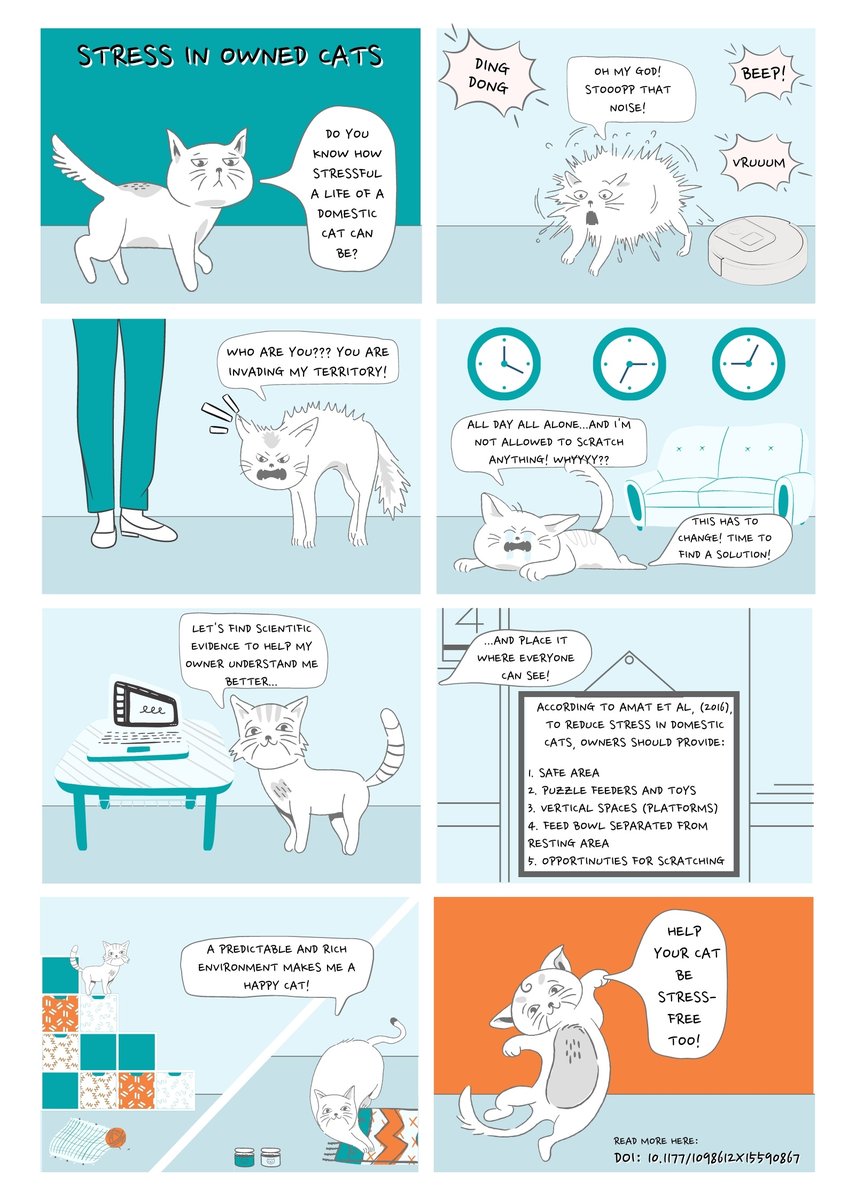 ScicommTrento's tweet photo. 📢To all #CatsOfTwitter and their #owners❗️Are your #cats #stressed🙀? In this #comicstrip based on a #Researchpaper (https://t.co/siOWAbLazf), our @ScicommTrento student @InesSBernardino explains what you can do to help them😻

#SciComm #OnlineLearning #Science #Research #Master https://t.co/no8fHdSTfU