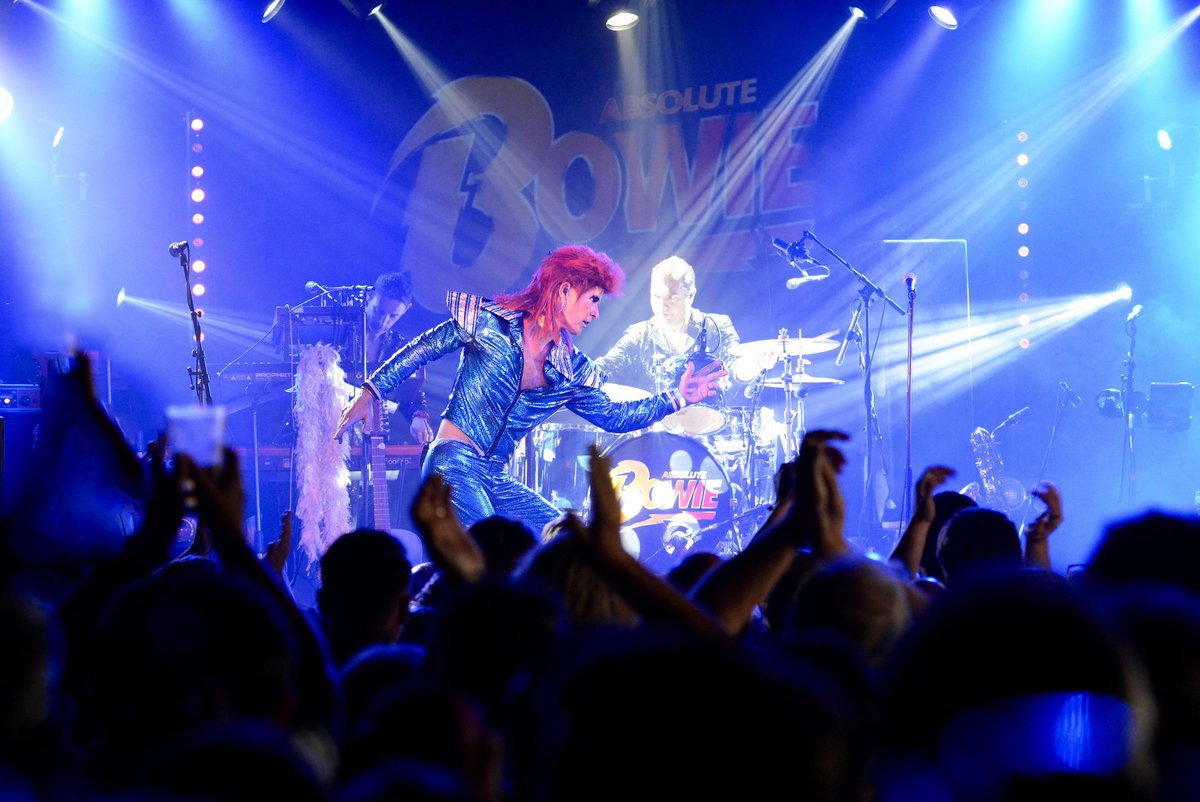 Absolute Bowie tweet media