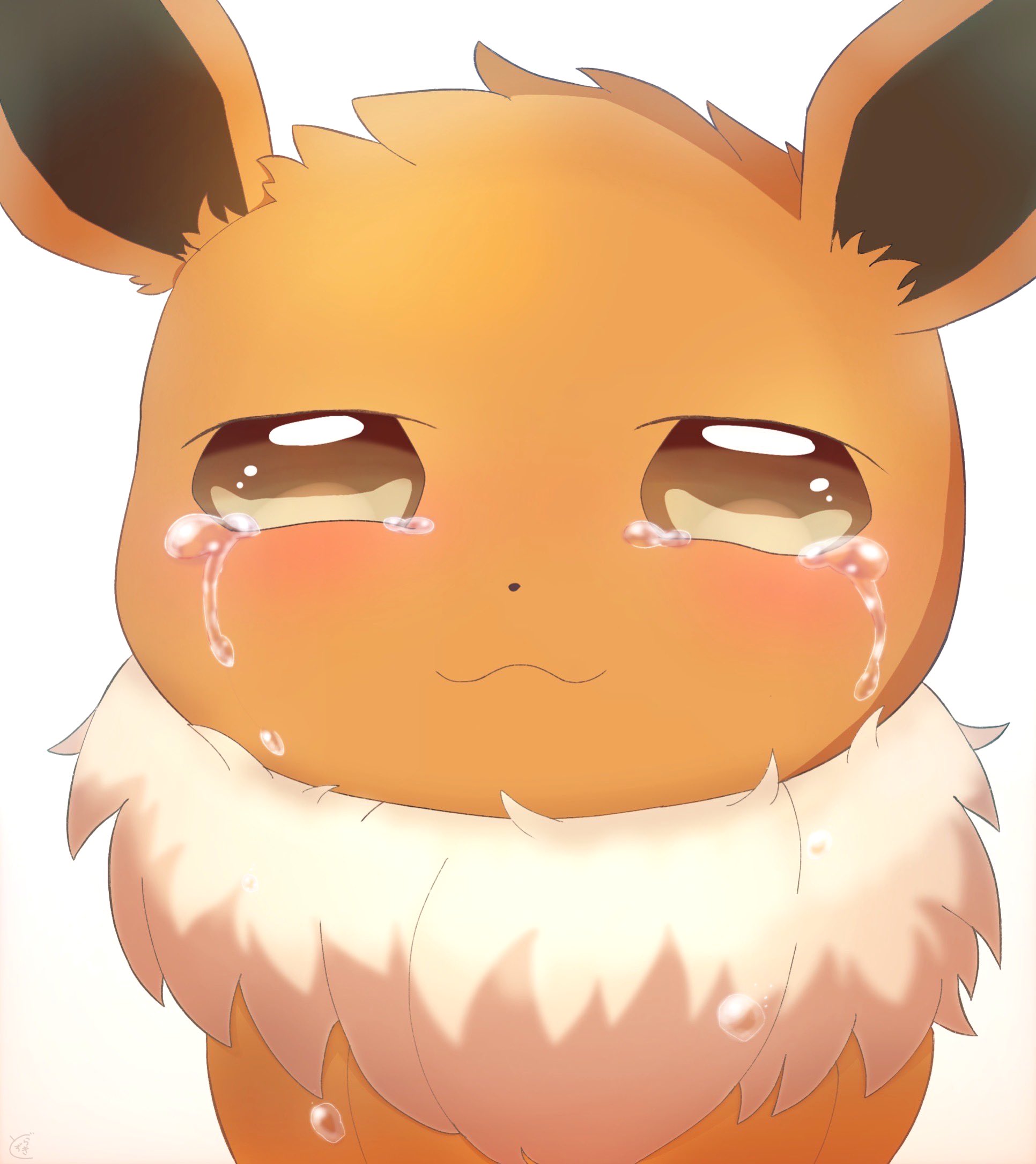 どらずき ポケモンイラスト イーブイ ほんとうに にがしますか T Co Xlfazjzyxn Twitter