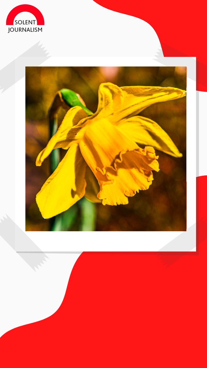 Solent Journalism tweet media