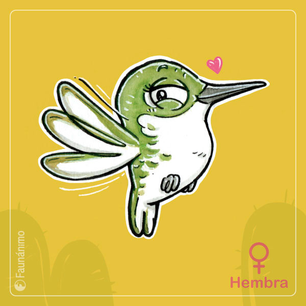 faunanimo's tweet photo. #Dimorfismo en la fauna chilena.
Picaflor de Arica ⭐💘
Es el más pequeñito entre todos los picaflores chilenos y entre los más pequeños a nivel mundial. El nivel riesgo de esta “estrellita chilena” es crítico
#picaflordearica
Info del #Memorianimal 1
https://t.co/uLFNeK9R4V https://t.co/wYpb4RY3P1