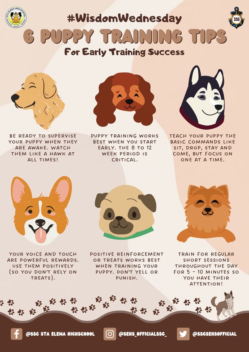 SSLGSEHS's tweet photo. It's #NationalPuppyDay, here are some paw-fect tips that can make your training with your puppy easier and better🐶
#WisdomWednesday #SSGSEHS https://t.co/wFXRRj4rEd