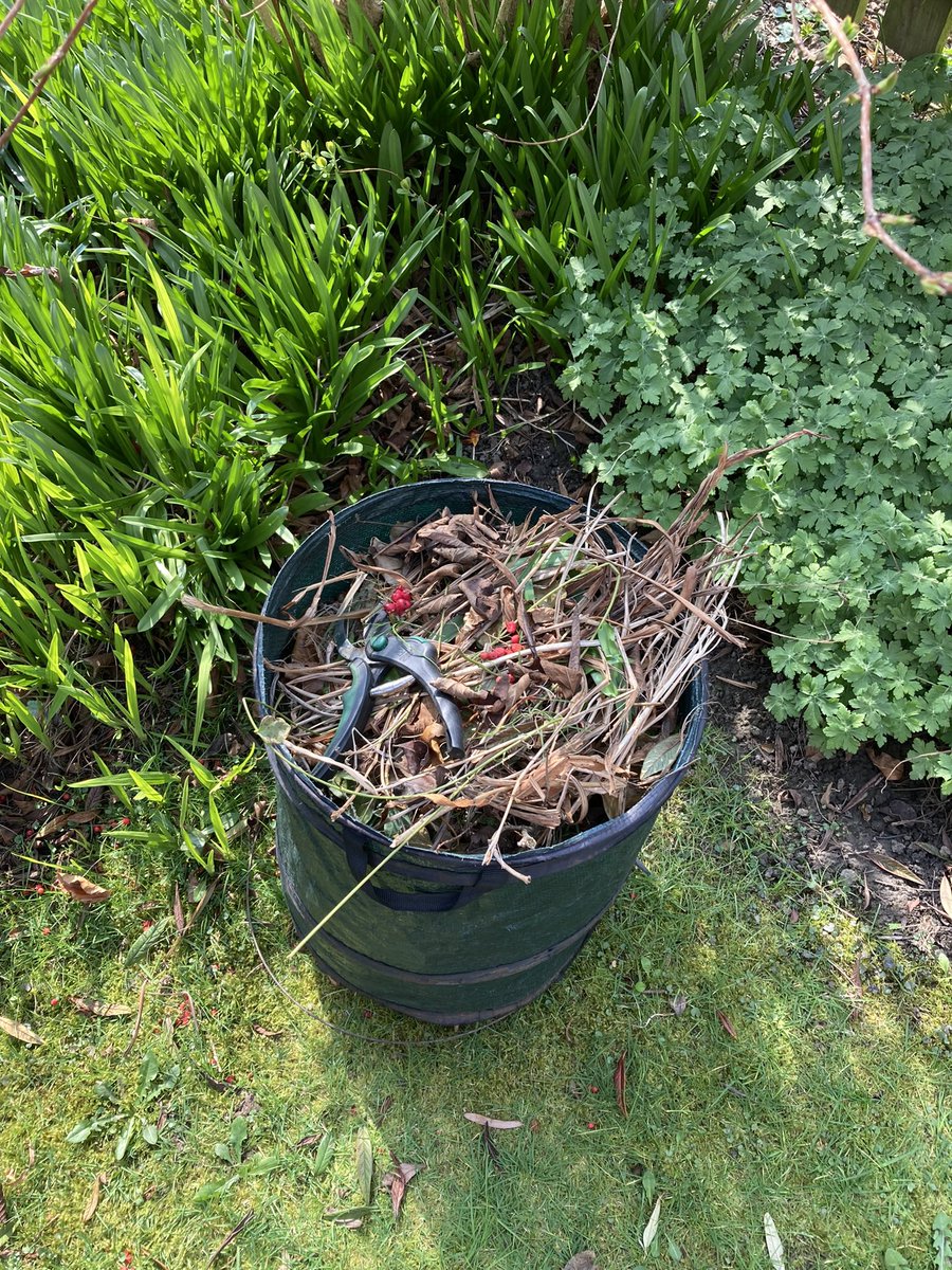 Jan_Lentzos's tweet photo. I really enjoyed spending time in my gardenโฆ ๐
Tidying, pruning, etcโฆ ๐ฉ๐ปโ๐พโ๏ธ๐ฟ
I even sat out there in the sunโฆ โ๏ธ
And was amused to see that it was quite a bit cooler in Athens! ๐
โ๏ธ๐ก๐ณ๐ฟโ๏ธ๐ฉ๐ปโ๐พ๐ฟ๐ฆ
#WarmDay #Gardening #Robin #Companion #SittingOutside #Springtime #Sunshine https://t.co/ErtXXGN1eP