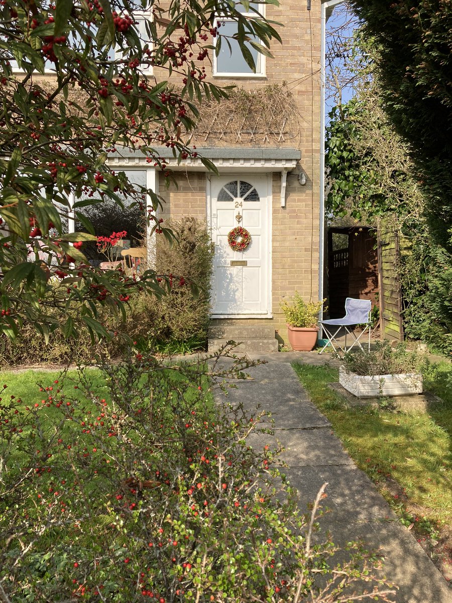 Jan_Lentzos's tweet photo. I really enjoyed spending time in my gardenโฆ ๐
Tidying, pruning, etcโฆ ๐ฉ๐ปโ๐พโ๏ธ๐ฟ
I even sat out there in the sunโฆ โ๏ธ
And was amused to see that it was quite a bit cooler in Athens! ๐
โ๏ธ๐ก๐ณ๐ฟโ๏ธ๐ฉ๐ปโ๐พ๐ฟ๐ฆ
#WarmDay #Gardening #Robin #Companion #SittingOutside #Springtime #Sunshine https://t.co/ErtXXGN1eP