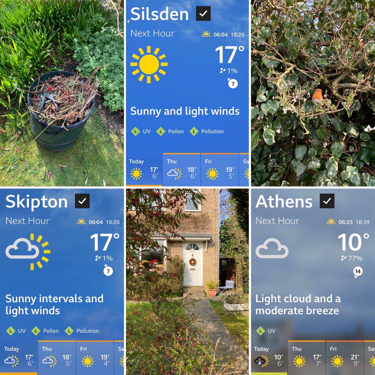 Jan_Lentzos's tweet photo. I really enjoyed spending time in my gardenโฆ ๐
Tidying, pruning, etcโฆ ๐ฉ๐ปโ๐พโ๏ธ๐ฟ
I even sat out there in the sunโฆ โ๏ธ
And was amused to see that it was quite a bit cooler in Athens! ๐
โ๏ธ๐ก๐ณ๐ฟโ๏ธ๐ฉ๐ปโ๐พ๐ฟ๐ฆ
#WarmDay #Gardening #Robin #Companion #SittingOutside #Springtime #Sunshine https://t.co/ErtXXGN1eP
