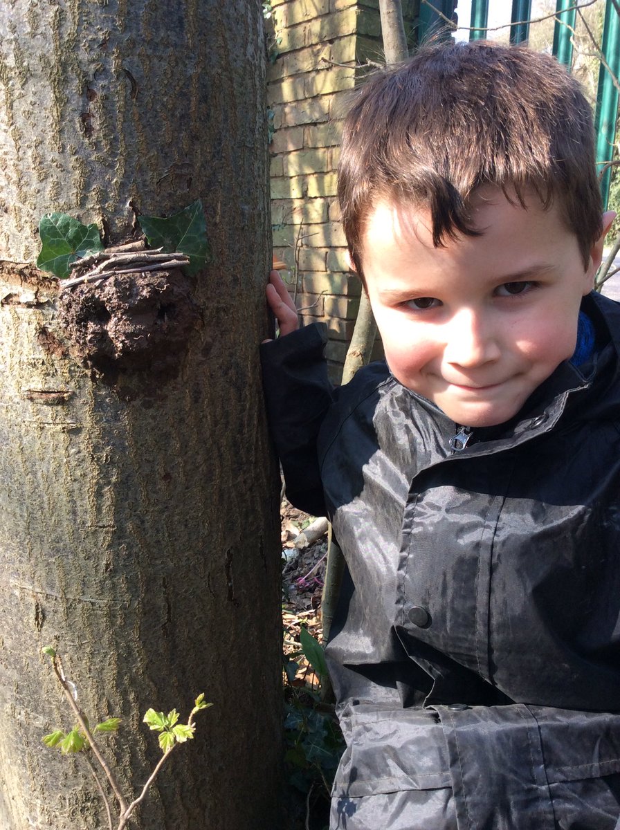 MaundeneSchool's tweet photo. Finches enjoyed their  forest session. We had a visit from DPD Dartford today, who are looking to make links with our community and support our school. The children loved showing them what our forest school can offer and what activities they can participate in. #dpd #cmmunity https://t.co/roiuSuLEjV