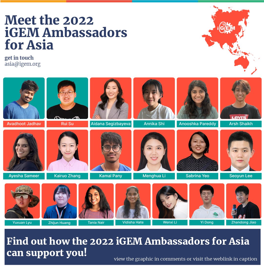 Now moving to Asia! Welcoming the 2022 iGEM Ambassadors for the region🌏

If you’re planning on developing an iGEM Team in Asia or are wondering how can the iGEM Ambassadors from Asia help you support synthetic biology in the region visit this link:

community.igem.org/ambassador-pro…
(1/2)
