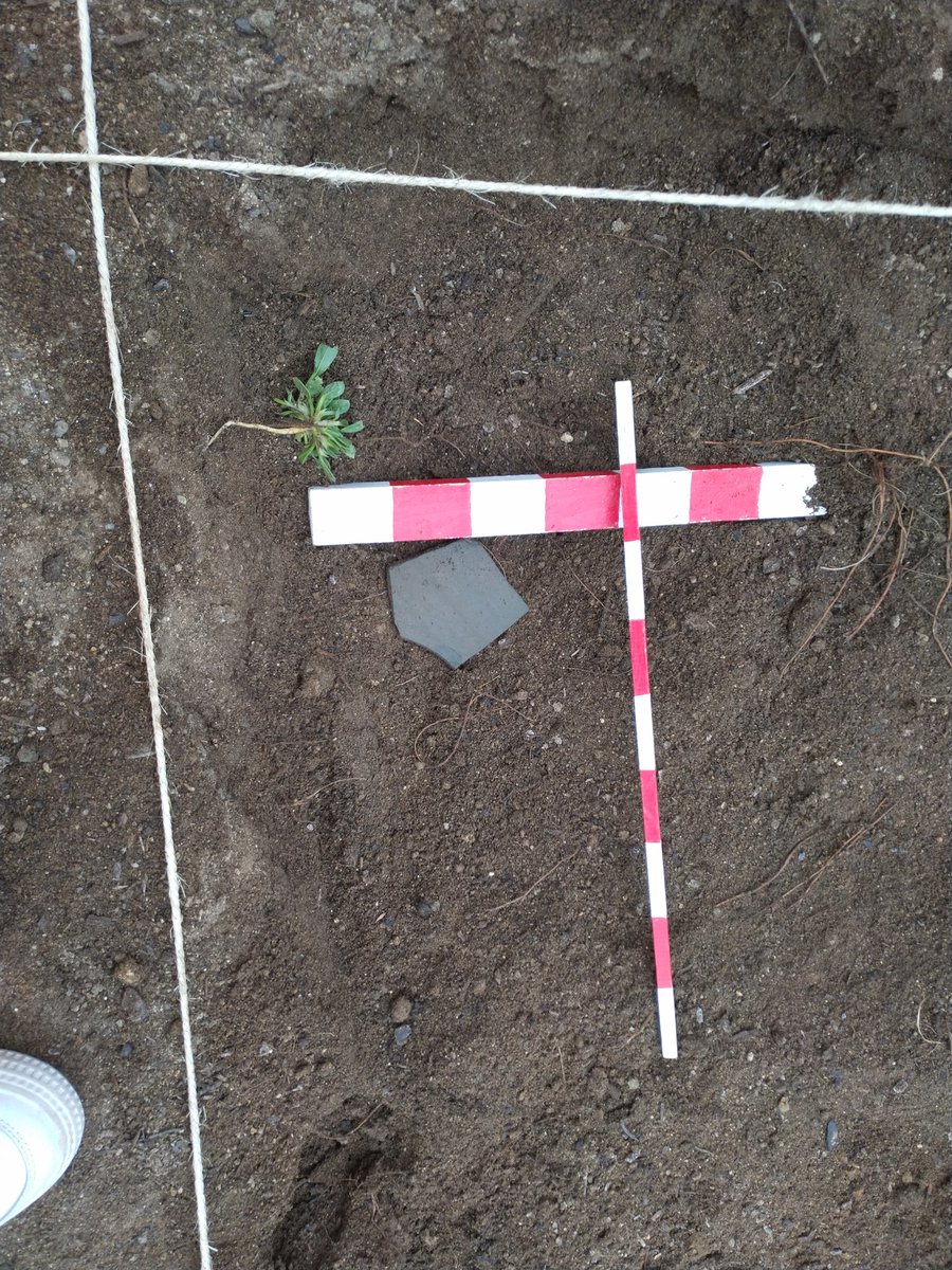 Quico Juan Roca tweet media