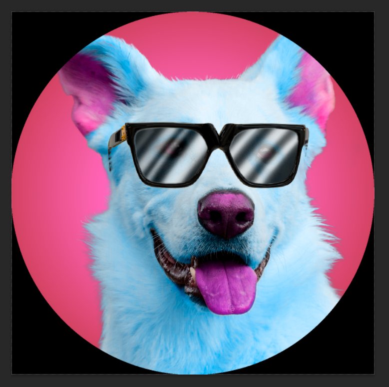 TamalDeQueso7's tweet photo. Si
#photoshop #photoshopediting #dog https://t.co/AwuT5vTMpA