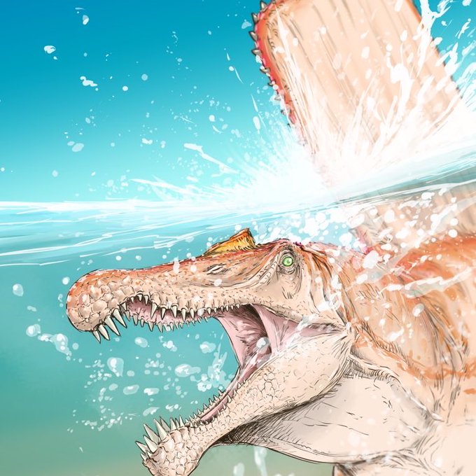 「スピノサウルス」のTwitter画像/イラスト(新着))