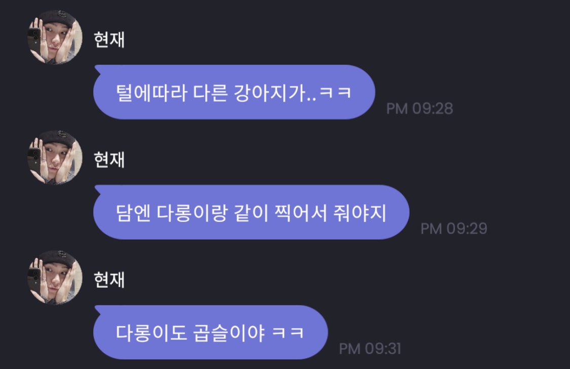 현재도 곱슬 다롱이도 곱슬