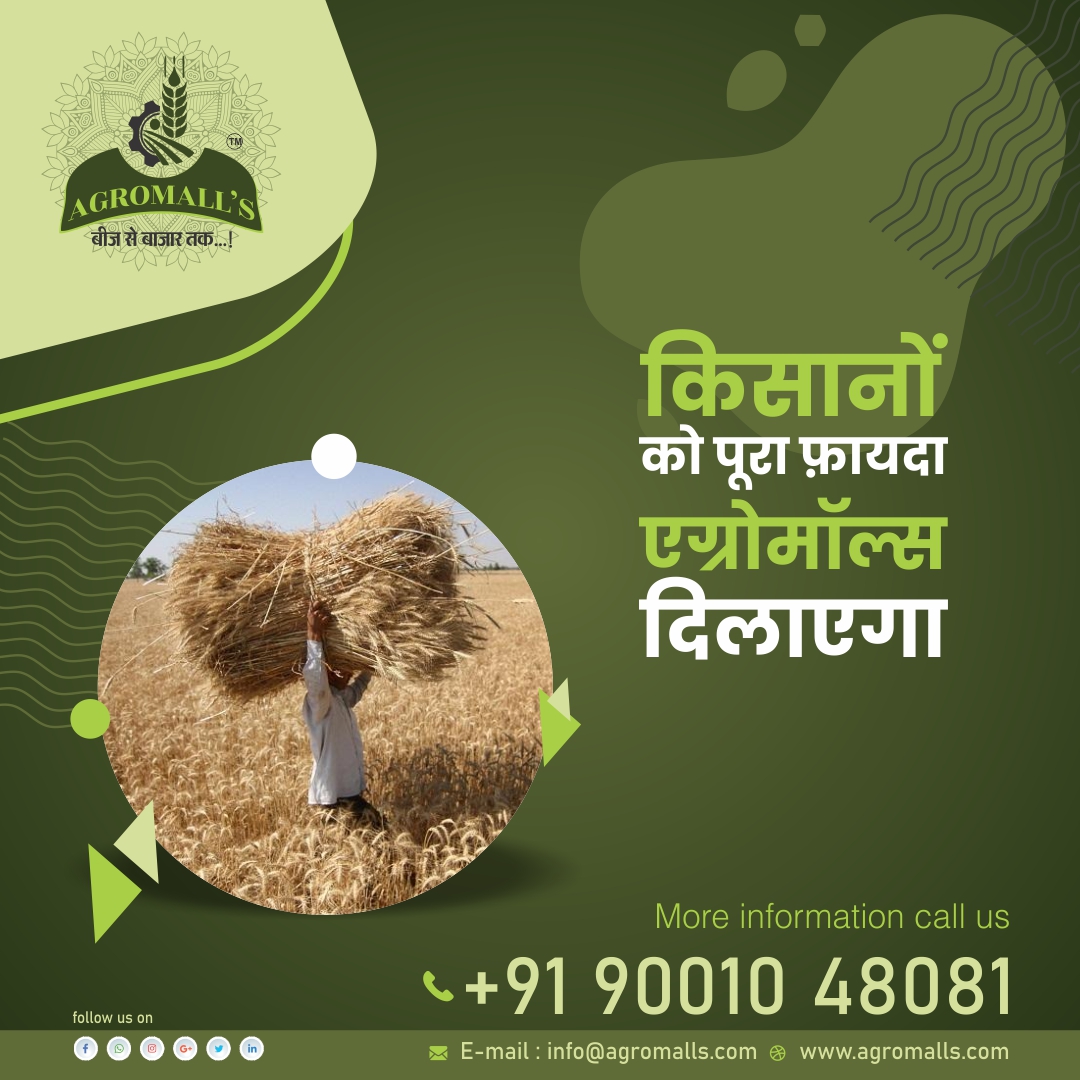 AGROMALL3's tweet photo. किसानों को पूरा फ़ायदा एग्रोमॉल्स दिलाएगा

Contact us 9001388751
info@agromalls.com
https://t.co/dNgZwIWr6u
#organicagriculture #agriculture_technique #e_mandi #agromall #helpfarmers #agriculture #agricultureequipment #farmersmarket #farmers #farmersprotest #farmerslife https://t.co/eY0WIB1CII