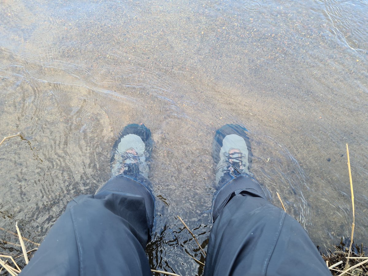 Lunch at the river waiting on the hatch .... cannae beat it 
#davedownie #davedowniefishing #davedownieflytying #flyfishing #flytying #flyfishingworld #scotland #river #fishing #sageflyfish #simms