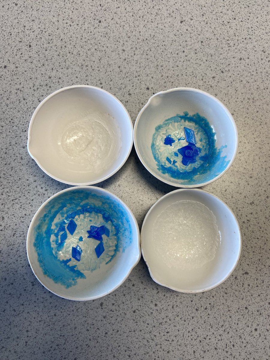 S3 have been learning about evaporation this week. Here is some of their salt crystals! Fabulous if I do say so myself 🤩 
Also a big congrats to Lauren who won our weekly starter challenge 🙌🏻#RaiseTheBarr