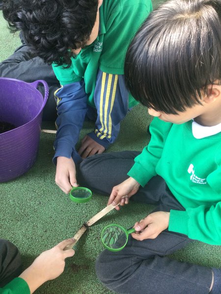 We have been using magnifying glasses to take a closer look in gardening lessons this week 🔍