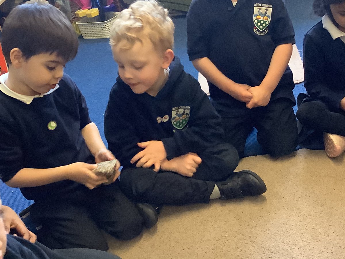 Leith_Primary's tweet photo. P1a are continuing to learn more about dinosaurs. This week we looked at fossils! Ms Cook kindly let us borrow some real fossils to have a look at and we also built dinosaur skeletons and matched them to the toy dinosaurs we have in the class. #LeithP1 https://t.co/NDTsJ4uS5I