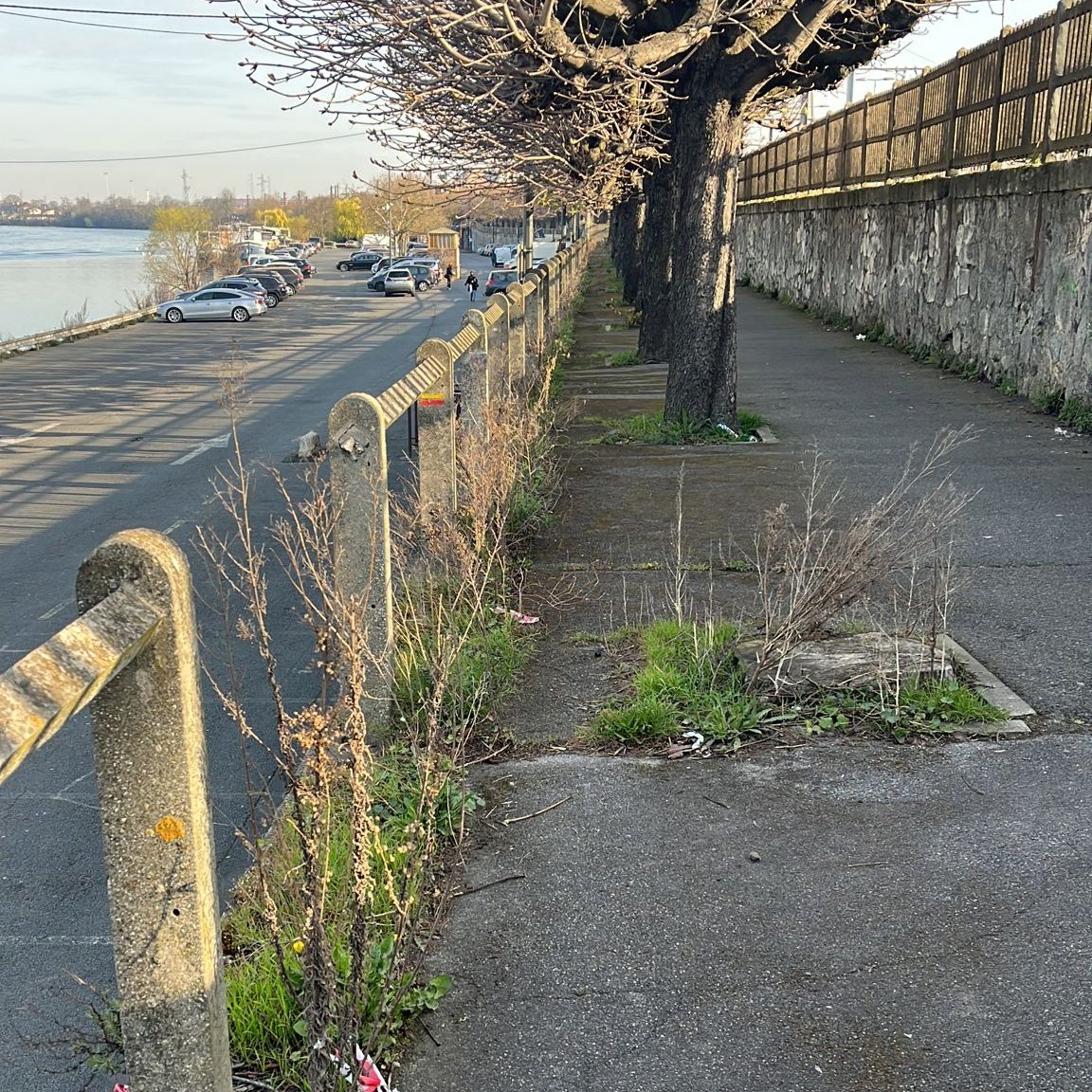 Villeneuve94190's tweet photo. PROPRETÉ
🌿 Désherbage de la piste cyclable et de la promenade au-dessus du parking du port réalisé cette semaine par les agents du service municipal de la propreté urbaine.
#propreté #circulationdouce #pistecyclable https://t.co/agCryqJHNN