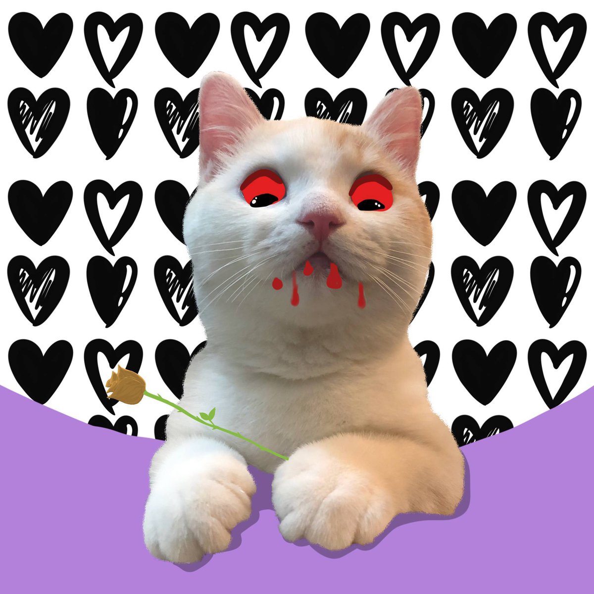 😺New styled meme PFP😺
Low cost and random price mint

Will list a social App on store
Holder sharing profit, hold event..etc

🟤pick 5 FREE Mint and 5 WL

☑Join discord.gg/MTRJ95nbvf
☑Follow @thecatonchain
☑RT + like
☑Tag 3 

#NFTs #NFTGiveaway #nft #ad