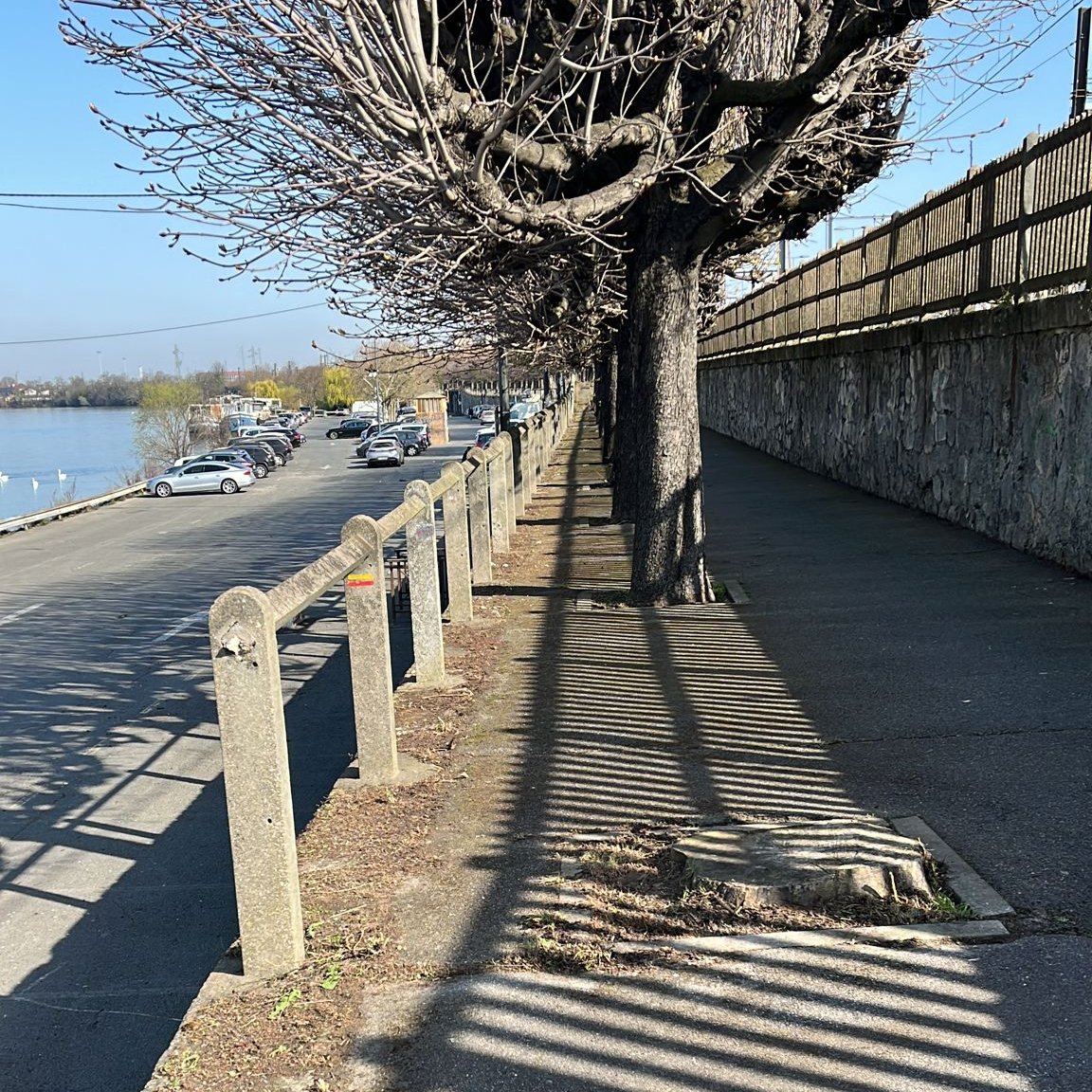 Villeneuve94190's tweet photo. PROPRETÉ
🌿 Désherbage de la piste cyclable et de la promenade au-dessus du parking du port réalisé cette semaine par les agents du service municipal de la propreté urbaine.
#propreté #circulationdouce #pistecyclable https://t.co/agCryqJHNN