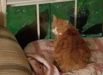 gotanyspooks's tweet photo. @memesiwish Trust nobody, not even yourself https://t.co/xC6QdaBCND