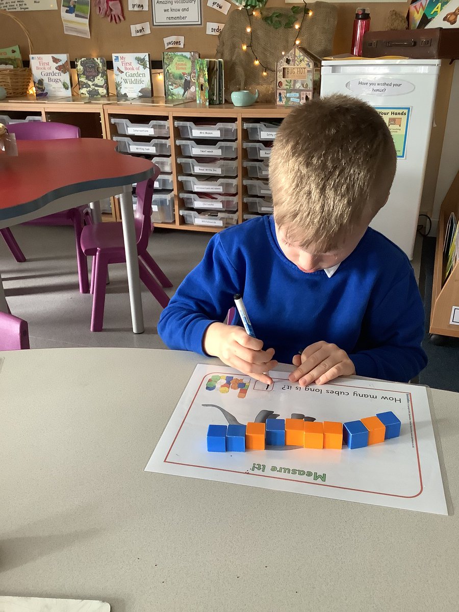 IPMATAshGrove's tweet photo. This week in maths the children in Reception are learning about measuring. They are enjoying lots of different activities from measuring outdoors with their footsteps to sorting worms according to their length! They have used some wonderful vocabulary.
#EYFSmathematics https://t.co/Syxi1Bk6ww