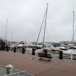 ツイートに含まれる画像