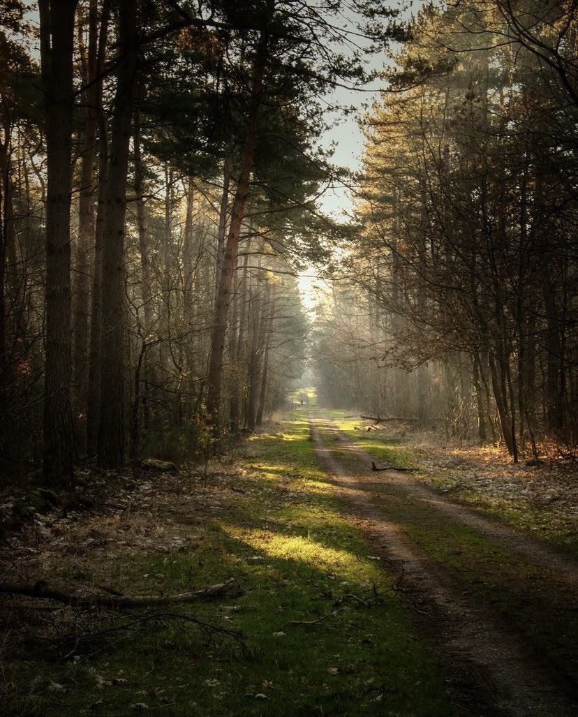 Şöyle bir yolda uzun süre yürümeye ihtiyacım var.
