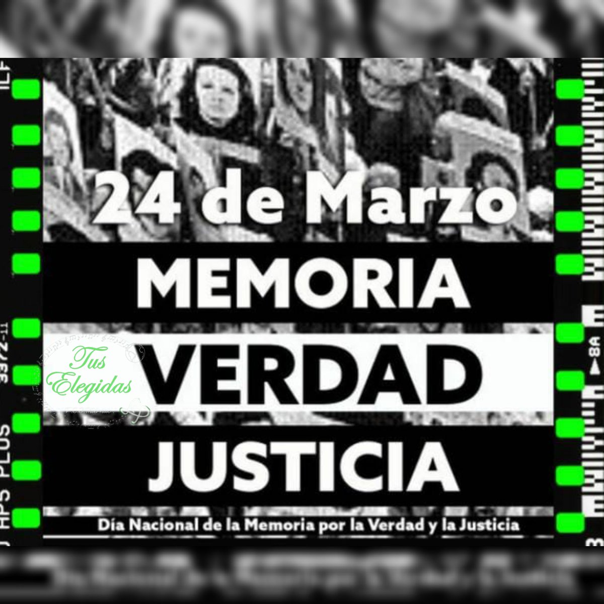 FCOI TusElegidas ✋💚 tweet media