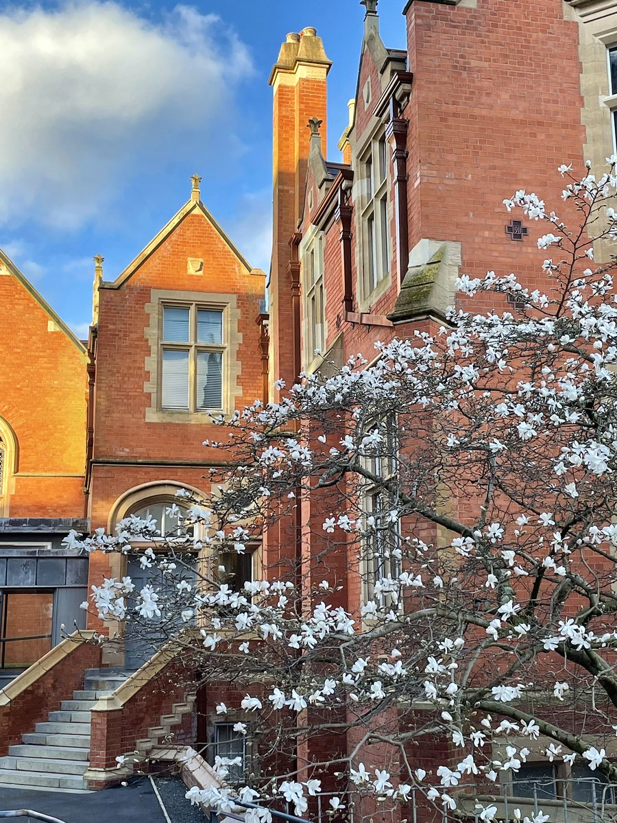 Lemon_blueeee's tweet photo. Spring💐#QUBMScBloggers @QUBManagement https://t.co/WufON4aGiC