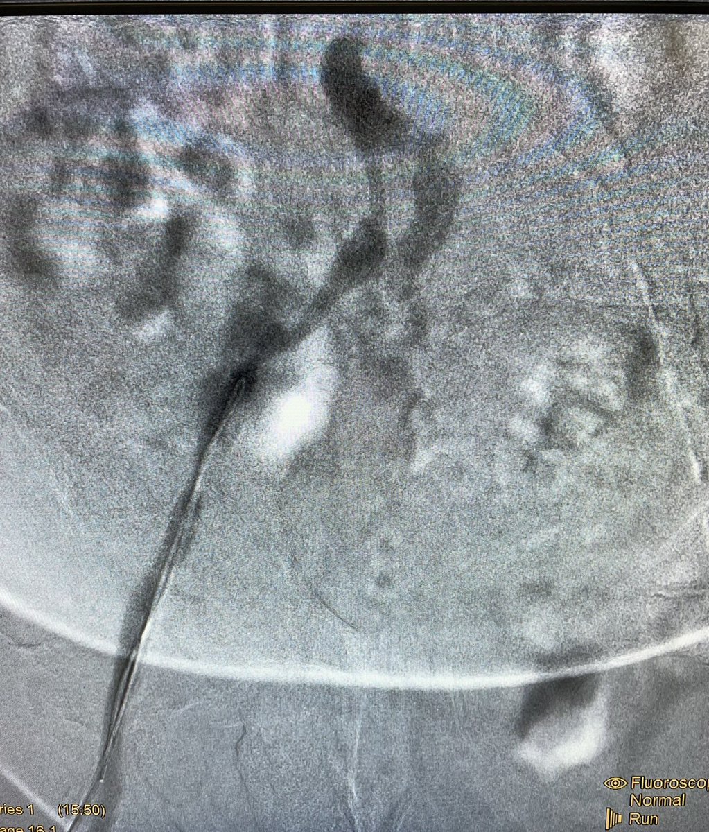 Sandeep Bagla MD tweet media